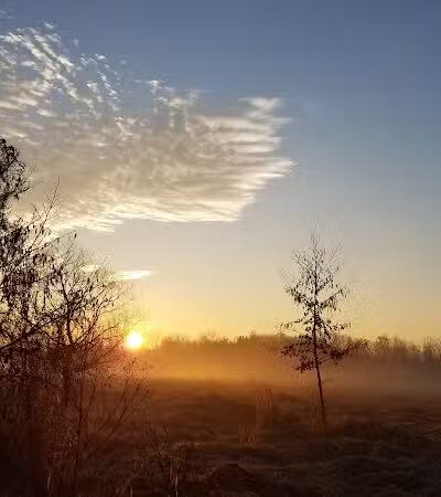 Chippewa Inlet Trailhead-South - Chippewa Lake, OH