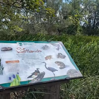 Chippewa Inlet Trailhead-South - Chippewa Lake, OH