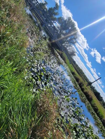 Chippewa Inlet Trailhead-South - Chippewa Lake, OH