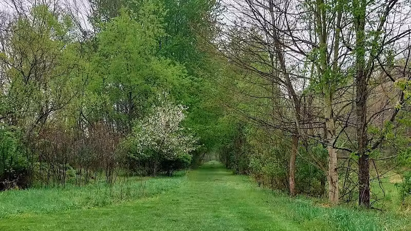 Chippewa Rail Trail parking lot - Chippewa Lake, OH