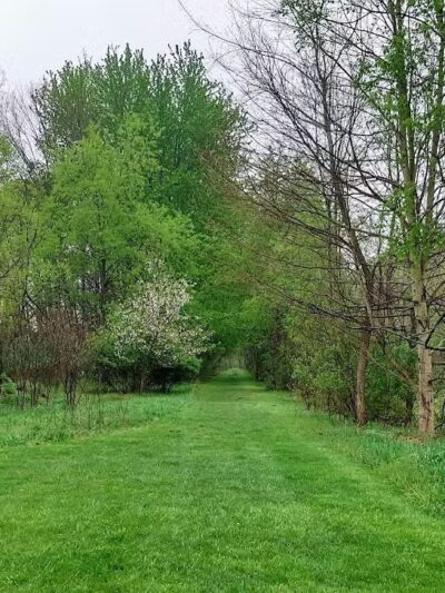 Chippewa Rail Trail parking lot - Chippewa Lake, OH