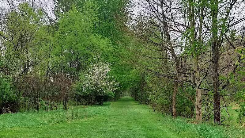 Chippewa Rail Trail parking lot - Chippewa Lake, OH