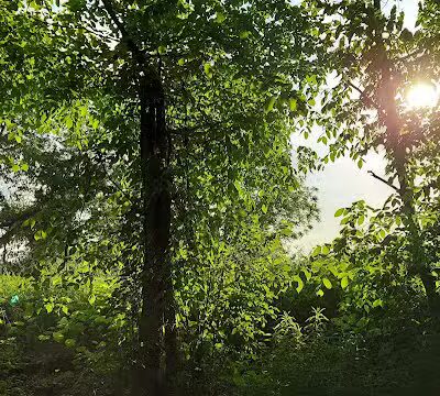Chippewa Rail Trail parking lot - Chippewa Lake, OH