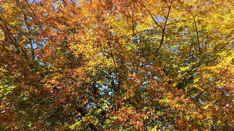 Annwood Park - Cincinnati, OH