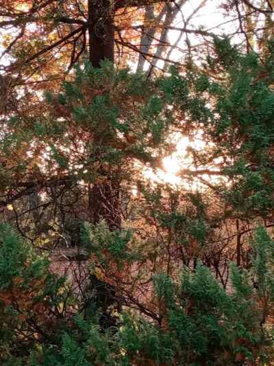 Annwood Park - Cincinnati, OH