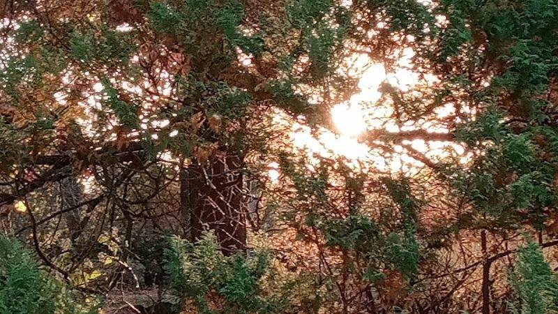 Annwood Park - Cincinnati, OH