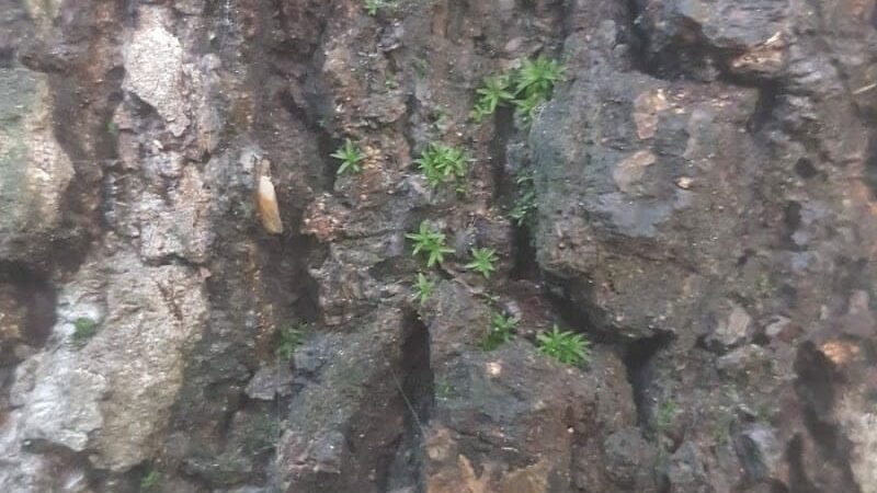 Annwood Park - Cincinnati, OH