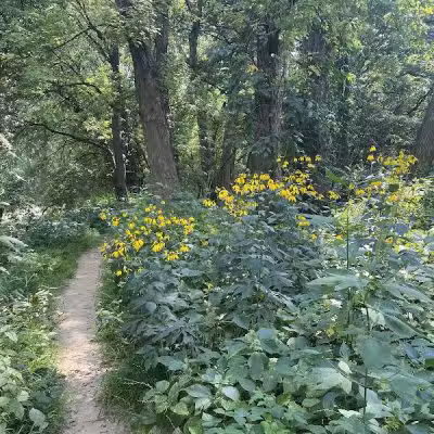 Armleder Loop Trailhead - Cincinnati, OH