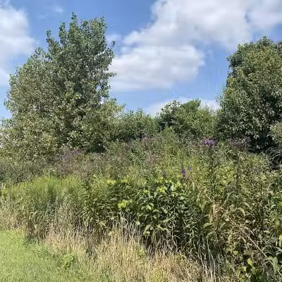 Armleder Loop Trailhead - Cincinnati, OH