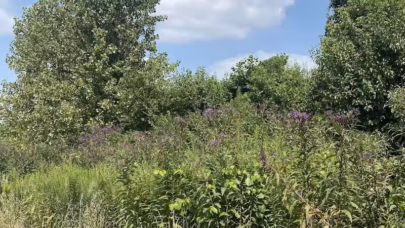 Armleder Loop Trailhead - Cincinnati, OH
