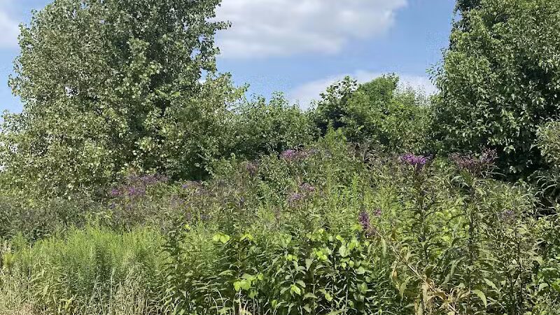 Armleder Loop Trailhead - Cincinnati, OH