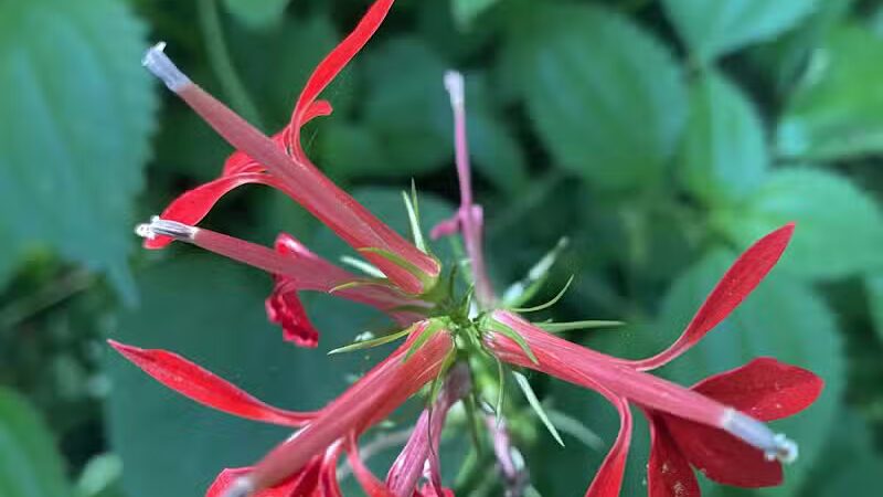 Armleder Loop Trailhead - Cincinnati, OH
