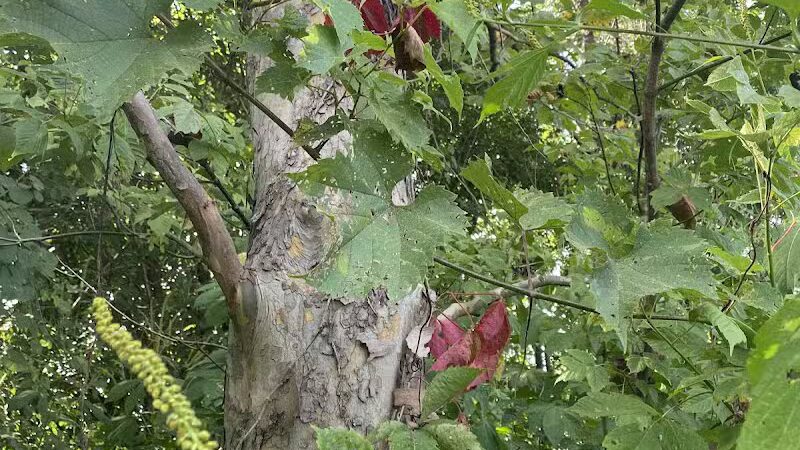 Armleder Loop Trailhead - Cincinnati, OH
