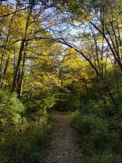 Ault Park - Cincinnati, OH