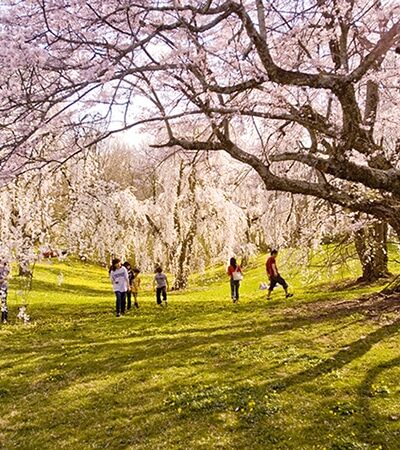 Ault Park - Cincinnati, OH