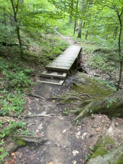 Ault Park Brook - Cincinnati, OH