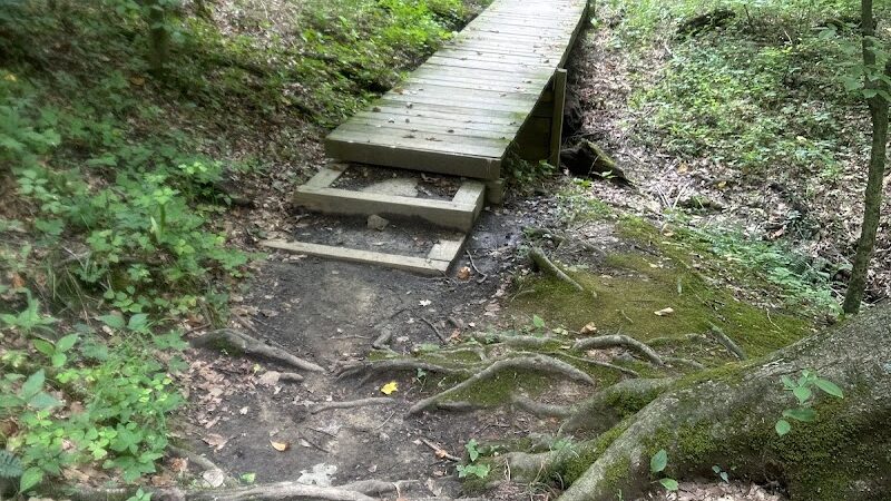 Ault Park Brook - Cincinnati, OH