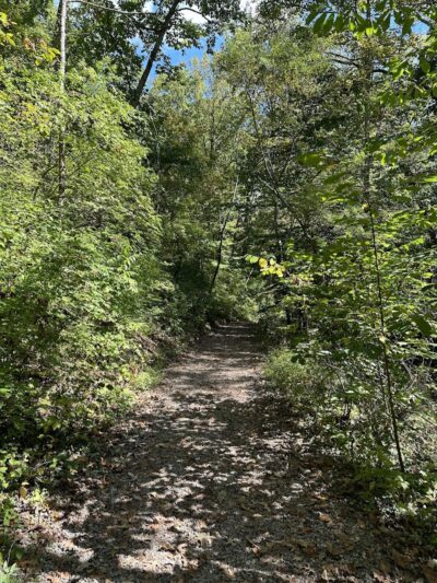 Ault Park Brook - Cincinnati, OH