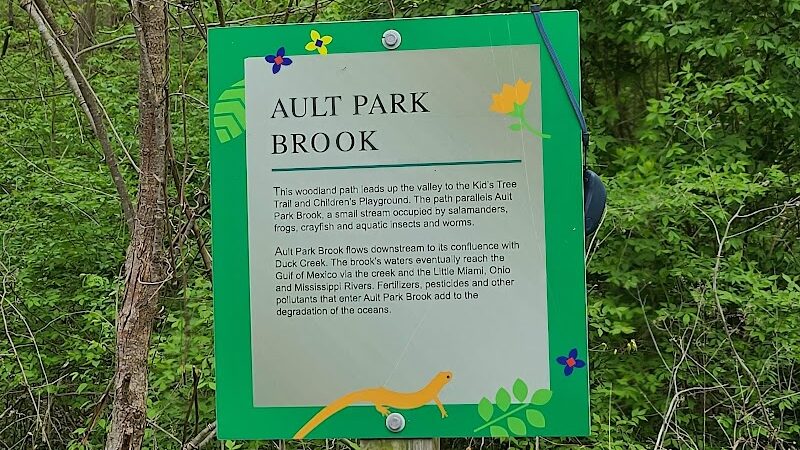 Ault Park Brook - Cincinnati, OH