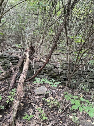 Ault Park Brook - Cincinnati, OH