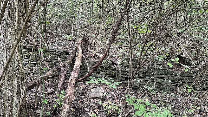 Ault Park Brook - Cincinnati, OH