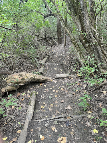 Ault Park Brook - Cincinnati, OH