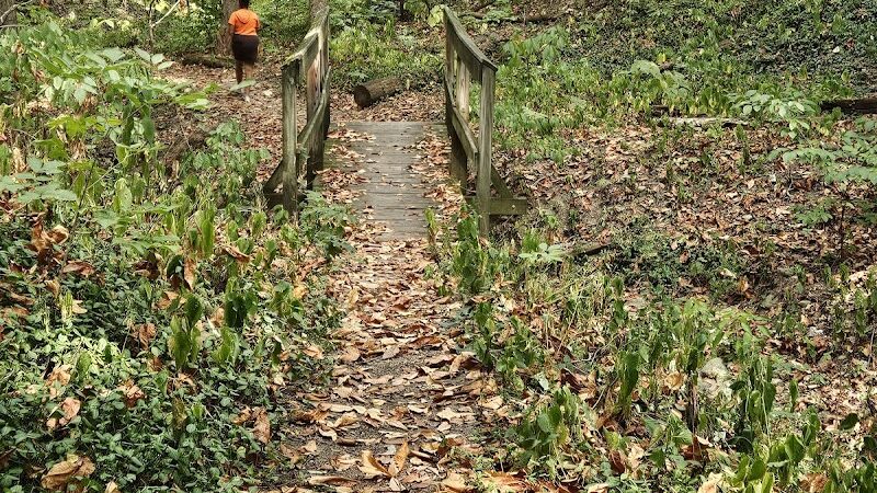 Avon Woods Nature Center - Cincinnati, OH