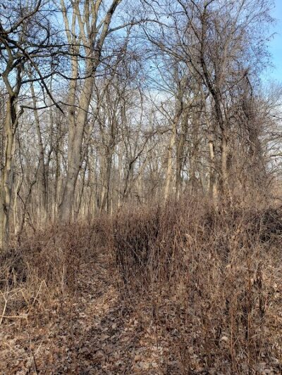 Avon Woods Nature Center - Cincinnati, OH