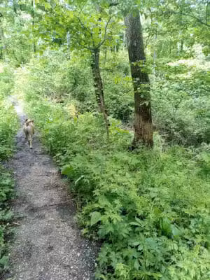Avon Woods Nature Center - Cincinnati, OH