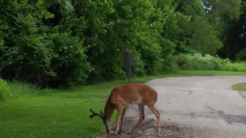Avon Woods Nature Center - Cincinnati, OH