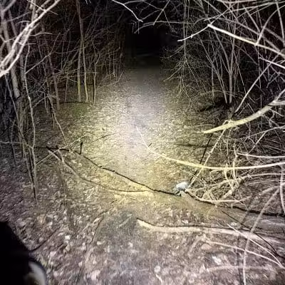Badgley Run Park - Cincinnati, OH