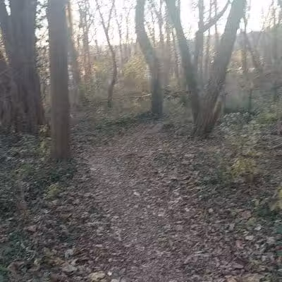 Badgley Run Park - Cincinnati, OH