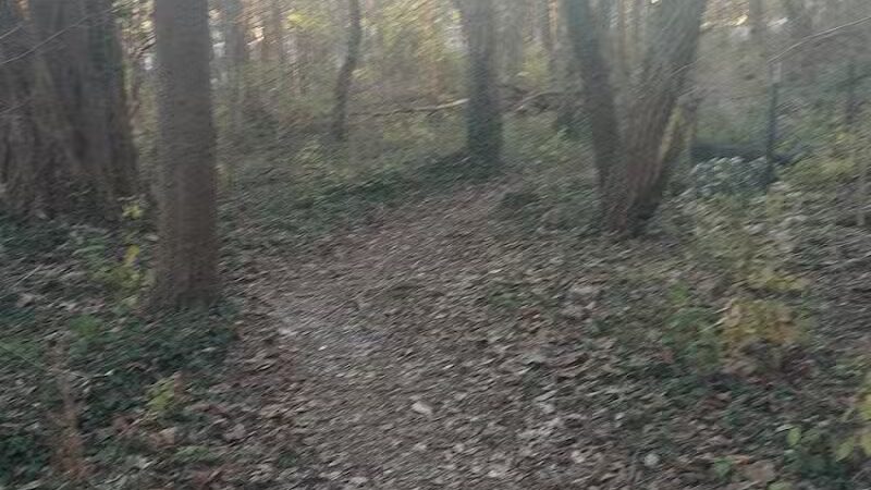 Badgley Run Park - Cincinnati, OH