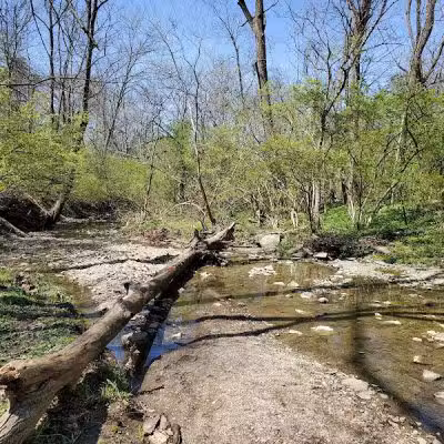 Bechtold Park - Cincinnati, OH