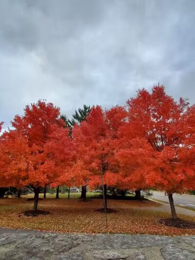 Bechtold Park - Cincinnati, OH