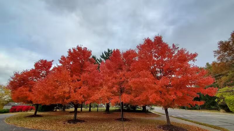 Bechtold Park - Cincinnati, OH