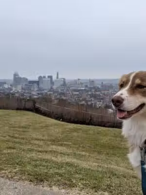 Bellevue Hill Park - Cincinnati, OH