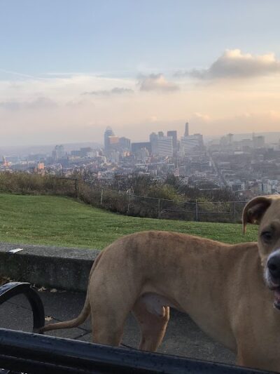 Bellevue Hill Park - Cincinnati, OH