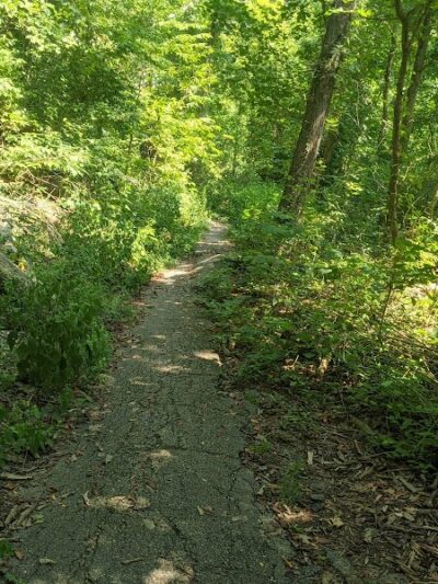 Bender Mountain Nature Preserve - Cincinnati, OH