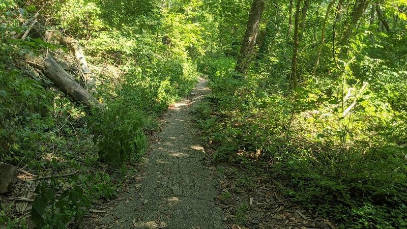Bender Mountain Nature Preserve - Cincinnati, OH