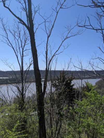Bender Mountain Nature Preserve - Cincinnati, OH