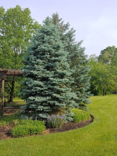 Bicentennial Green at Bauer Preserve - Cincinnati, OH