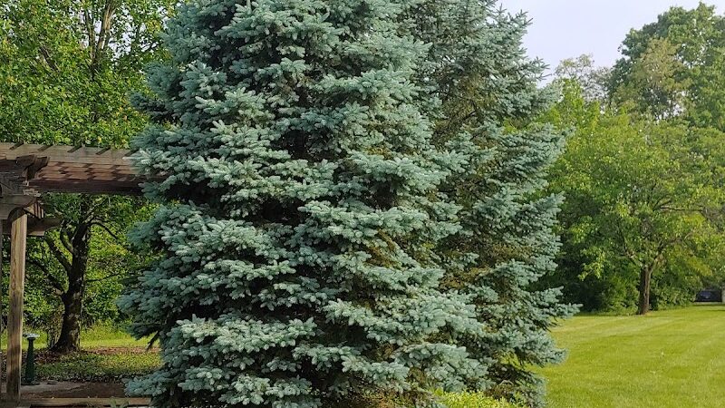 Bicentennial Green at Bauer Preserve - Cincinnati, OH