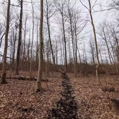Bicentennial Park - Cincinnati, OH