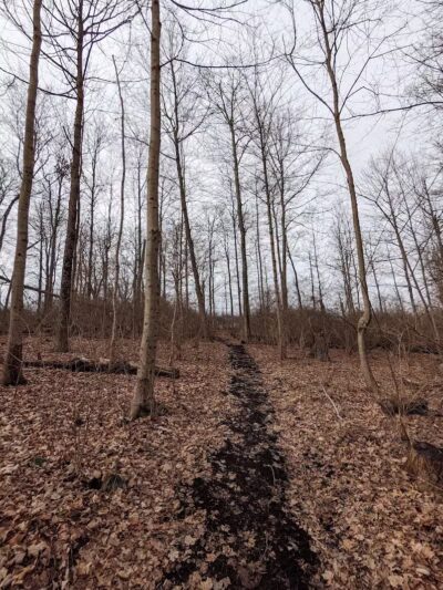 Bicentennial Park - Cincinnati, OH