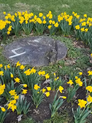 Bowdle Park - Cincinnati, OH