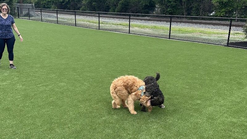 Brave Like Brayden Dog Park - Cincinnati, OH