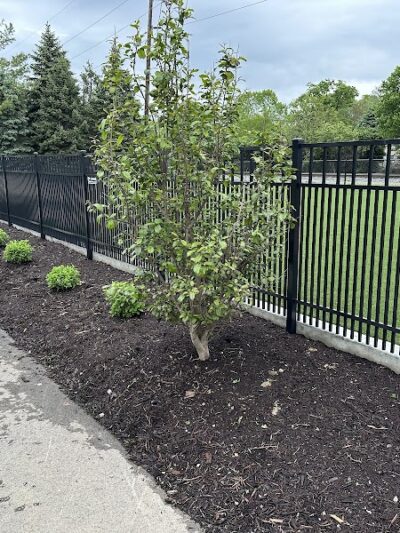 Brave Like Brayden Dog Park - Cincinnati, OH