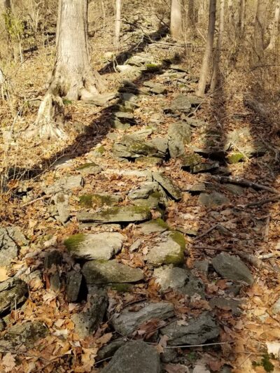 Bruening Park - Cincinnati, OH
