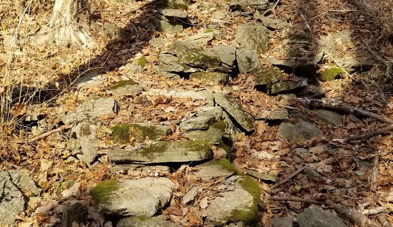 Bruening Park - Cincinnati, OH